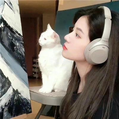 霹雳侠影之轰动武林